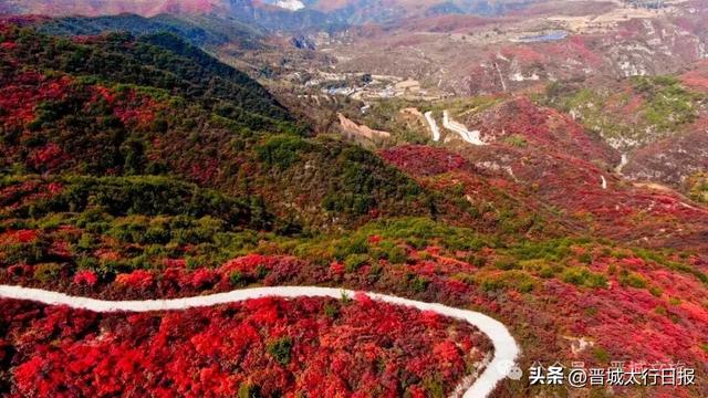 【晋城】周末来这里，新手也能“出大片” →