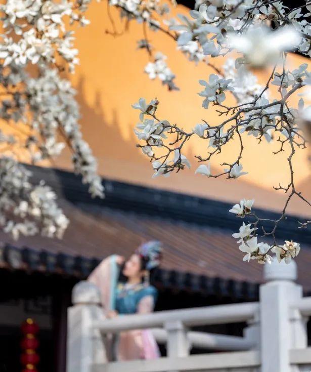 南京灵谷寺：南朝四百八十寺，多少楼台烟雨中