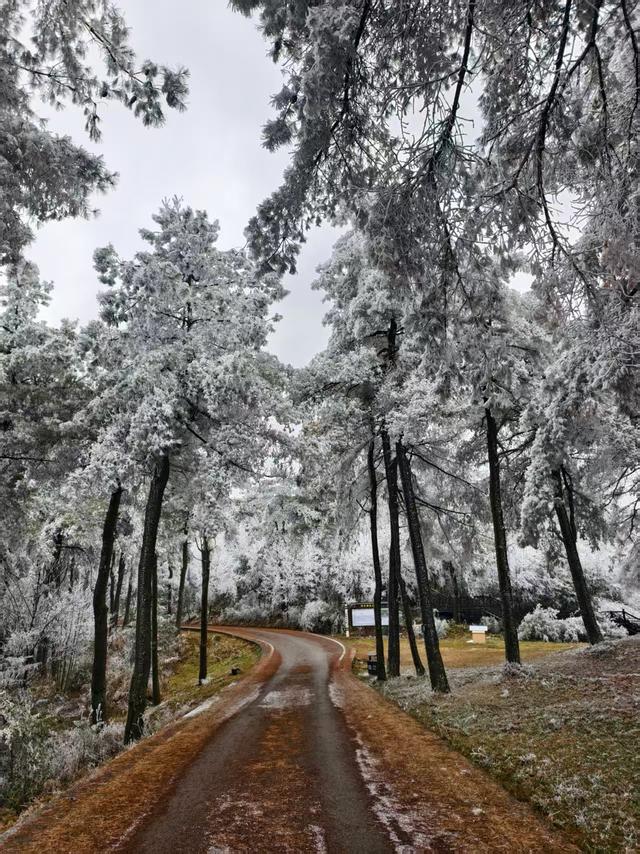 1月10日玉舍雪山滑雪场焕新开板 | 新增单板公园+云端温泉，南方冰雪季全面升级