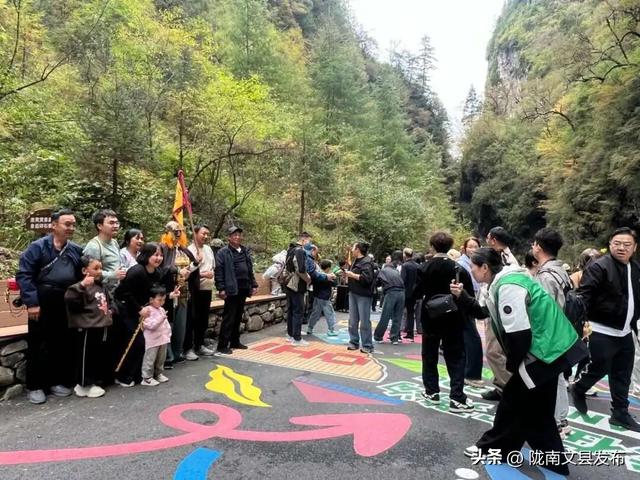 350.77万人！20.25亿！生态陇南从“爆火”到“长红”