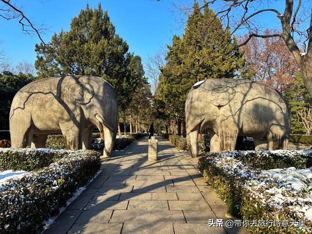 南京2026年第一场雪，梅花山、琵琶湖雪景