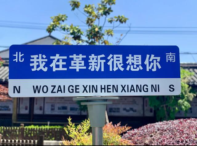 不出上海！这5个村子牛到让你怀疑人生！