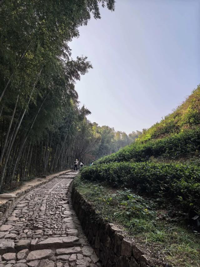 旅游的乐趣之一——结交更多的知己好友