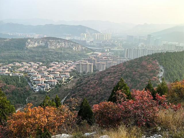 醉染蚰蜒山