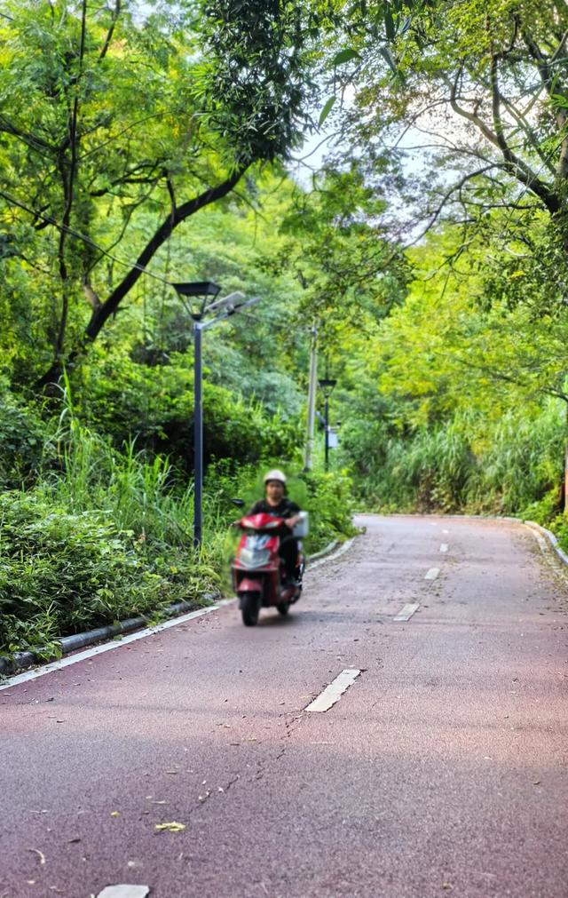 桂林：乐骑青山绿水间！