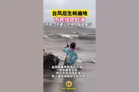 台风“格美”过后，福州海滩生蚝成山？网友回复：光本地人捡吗！图片