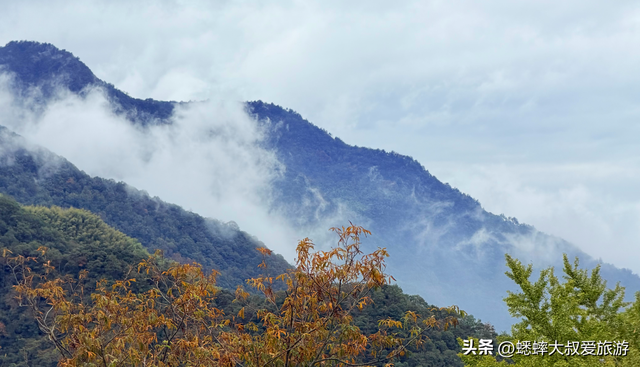 来海拔600米的杭州顶流古村吧，坐拥梯田、银杏、民宿，免费好玩