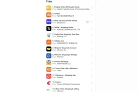 霸榜、出圈！中国电商在美持续爆火图片