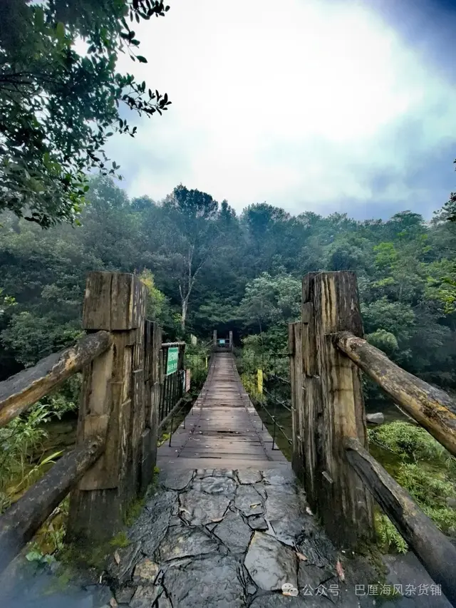 直下高原去海南（2）令人失望的十万大山国家森林公园