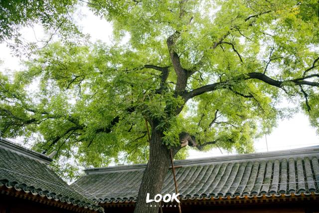 北京隐藏的神秘故居 · 免费开放