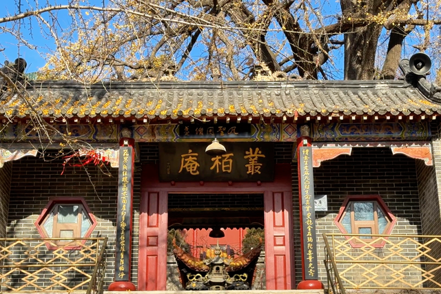 接下来临沂的秋天 | 这10处绝美打卡地别错过！先收藏慢慢逛~