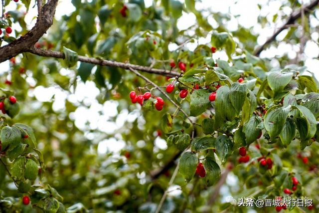 康养，到晋城！