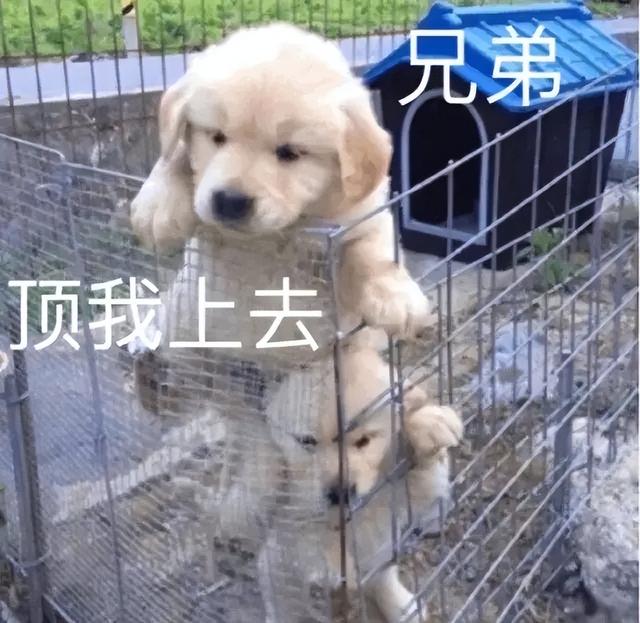 特斯拉廉价版贵到离谱