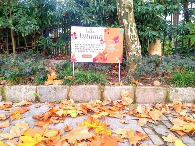 周五宠粉日|国庆赏秋,快收藏这份上海Citywalk指南,更有豫园门票等你来领!