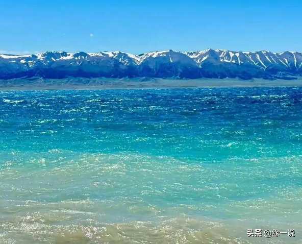 赛里木湖景区“屎满为患”，游客们都就地解决，网友：都怪撒贝宁