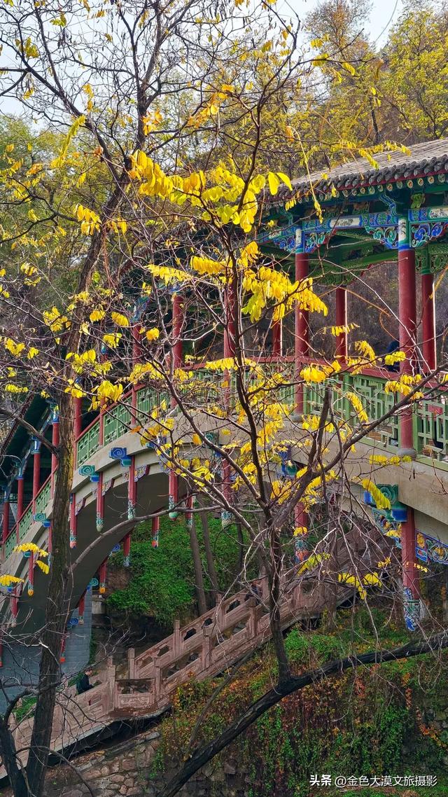 秋染五泉山：兰州城畔的千年诗意与一季斑斓​​