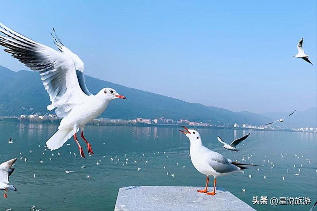 昆明旅行不可错过的20个好地方！你错过了吗？