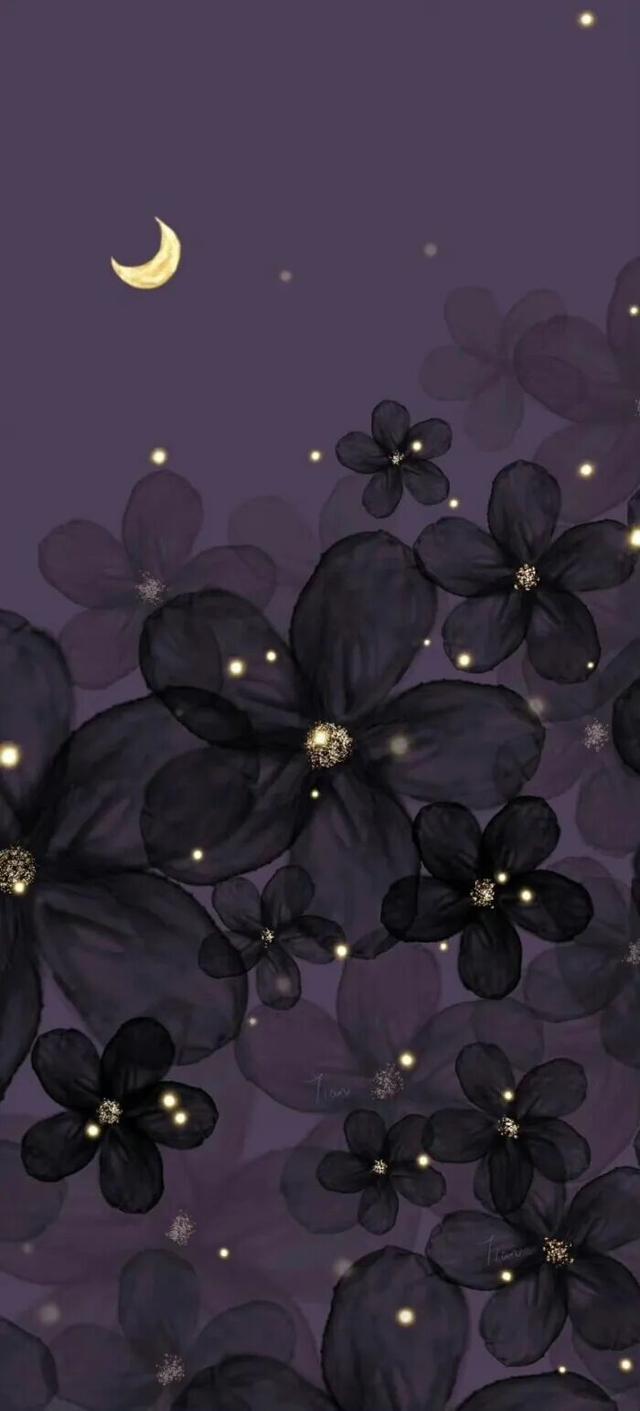 " 巨好看的手机壁纸 "40张