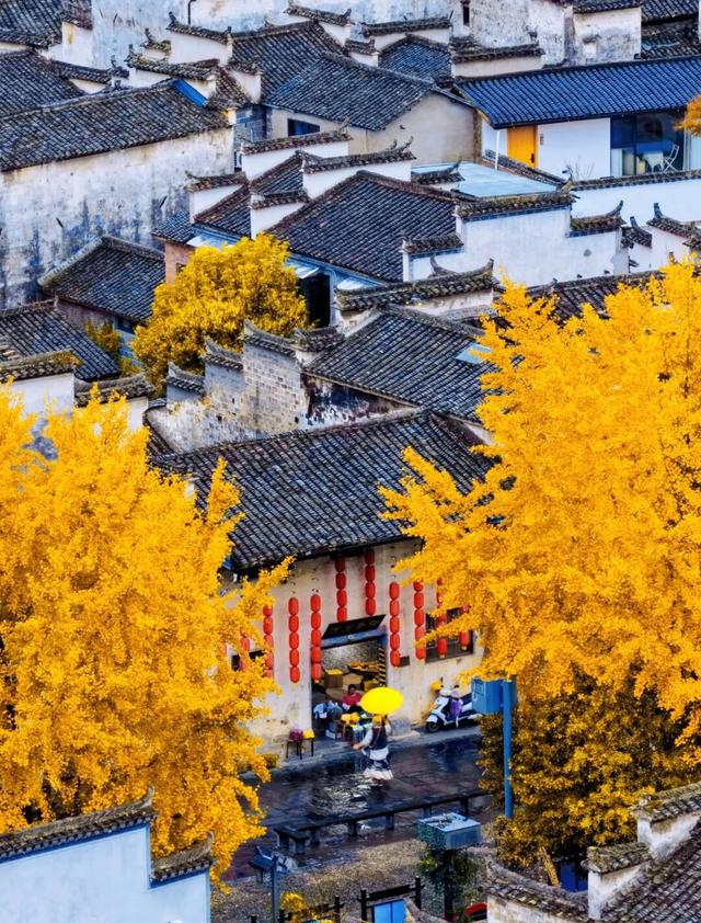 来西递！邂逅徽州最美的秋日风景 | 皖美冬日 | 第十五届安徽国际文化旅游节
