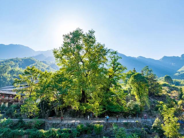跟着“赣超”游明月山，超多特色玩法，享受清凉夏日~