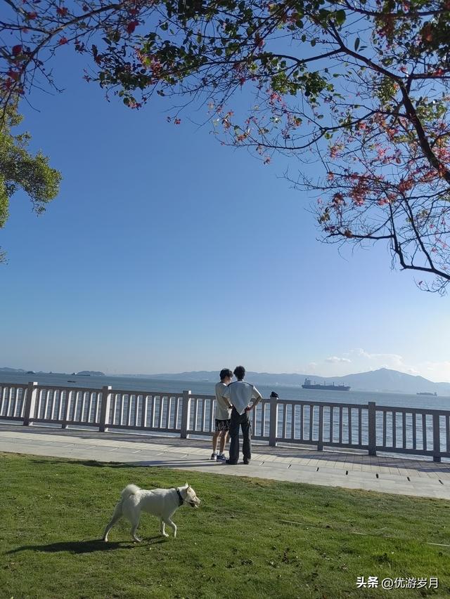 厦门旅游，值得👍