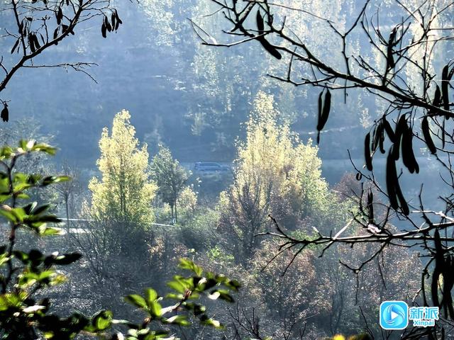 冬意初临 潍坊如诗如画