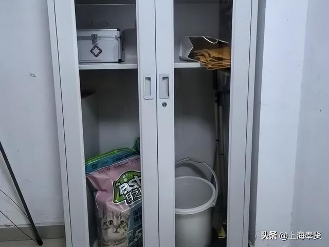 从“流浪无依”到“宠爱有道”，金海街道这个社区有“喵”招→