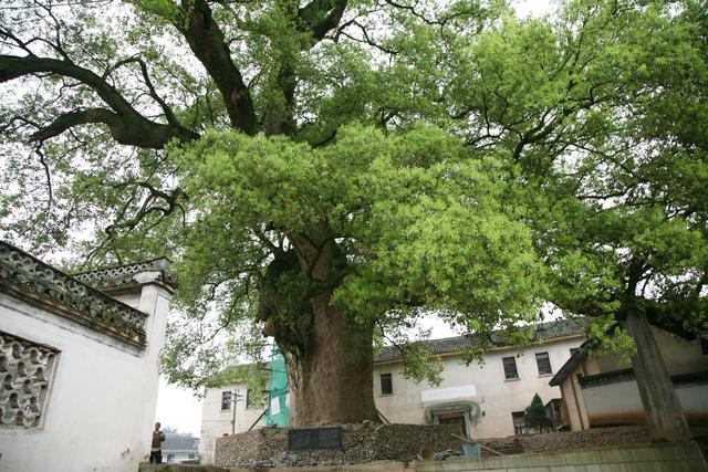 [四川 自贡市]
