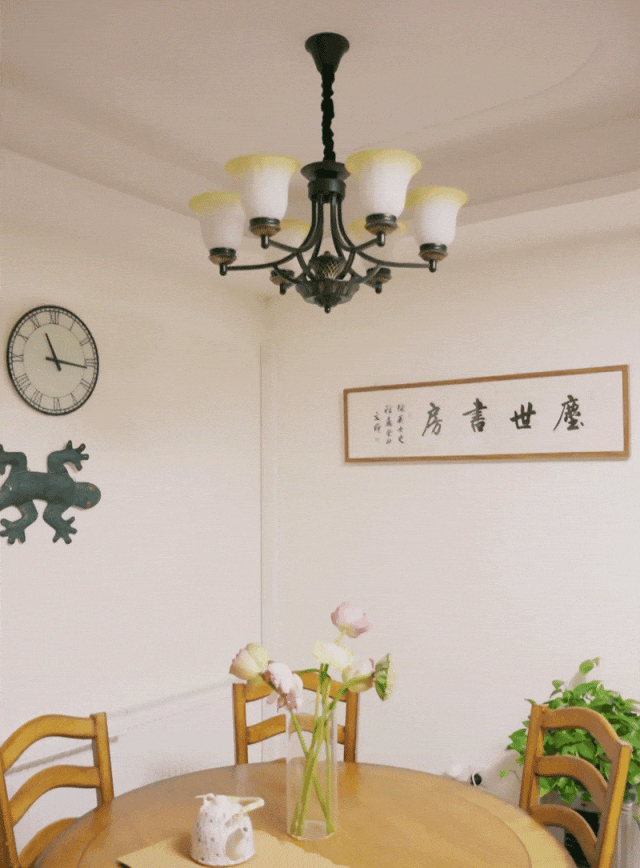 她把风靡全球的神作引入中国，被总统授予骑士勋章，好评如潮