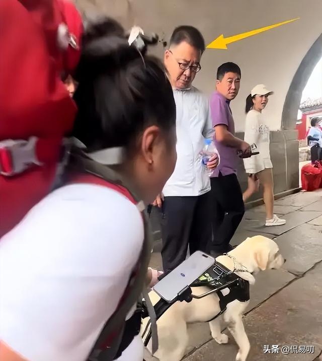 17小时爬泰山后，盲女王营营为何丢了导盲犬、没了工作？