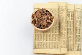 2024中医执考温病-条文背诵版图片