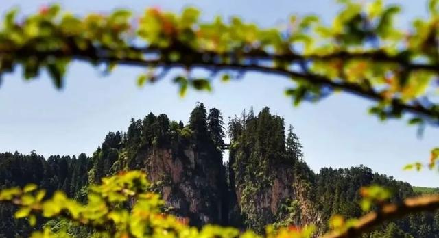 贵清山20℃的清凉秘境，让眼睛与心灵一起深呼吸