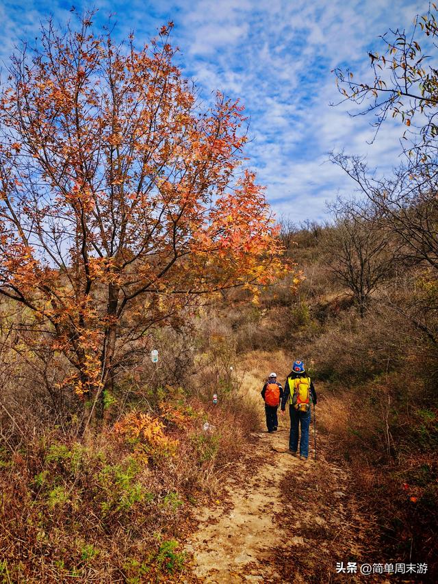 17）初冬暖阳里的16公里奔赴！济源黄河三峡藏着北方的“千岛湖”
