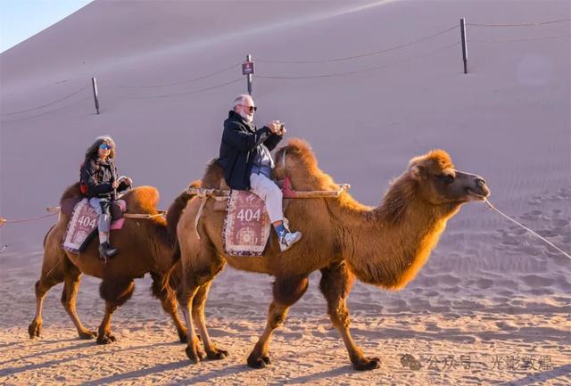 甘肃敦煌：深秋时节大漠秋景醉游人