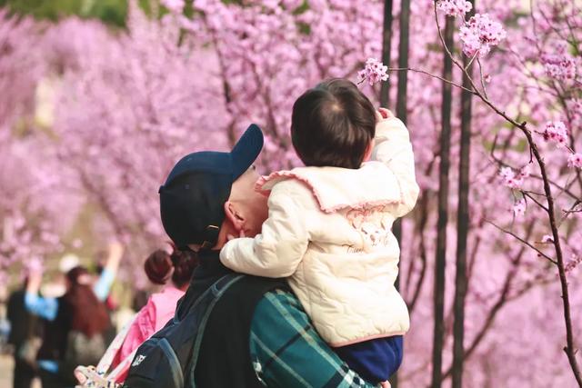 开往春天的列车，发车！这3个地方最出片！