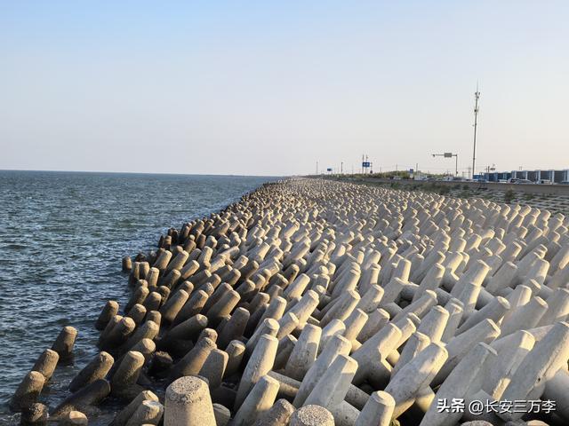 北上大草原第3站：日照凌晨观火箭，东营午后探黄河