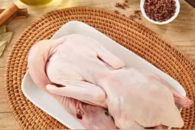 “鸭肉”你吃吗？图片