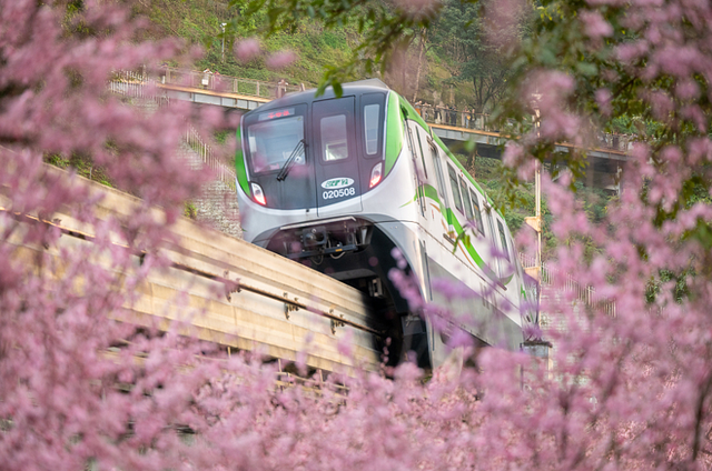 重庆“开往春天的列车”已发车！查收打卡攻略，赶紧上车→