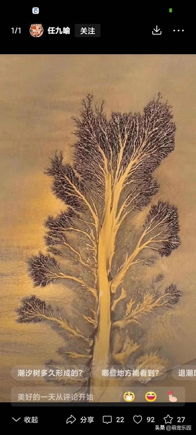 操控无人机偶遇钱塘江奇观，退潮后滩涂现巨型潮汐树