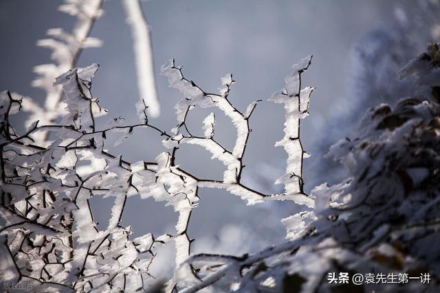 明日冬至是“忌日”，记得：1不泡、2不动、3不开、4要数、5要吃