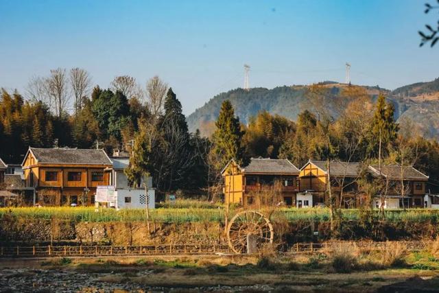 乡游黔中 · 凤冈县 进化镇丨银杏鎏金映古寨，高腔茶灯醉秋韵