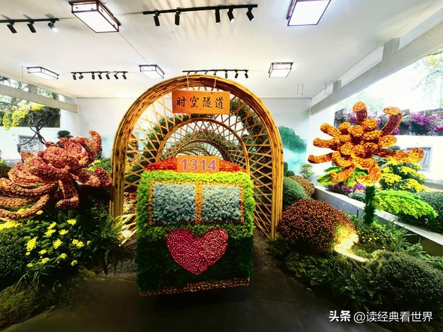杭州植物园的菊花展——一场关于菊花的饕餮盛宴（一）