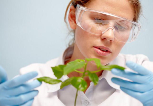 中国再出黑马！科学家成功破解植物再生密码，1大关键因素出炉