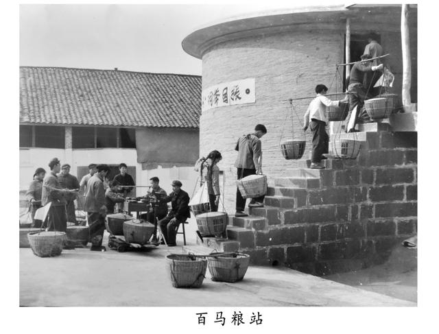 乐山市首个粮食和农耕文化展示厅在乐山高新区建成