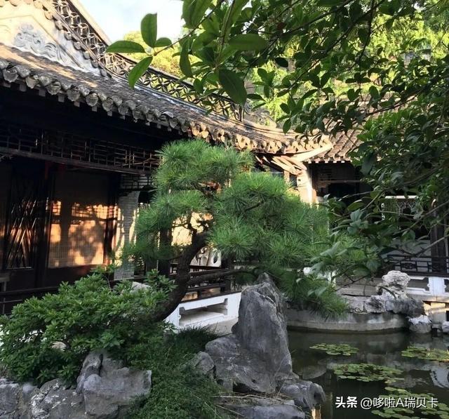 退休后一定要在这6座城市旅居，消费不高生活安逸，来了就不想走