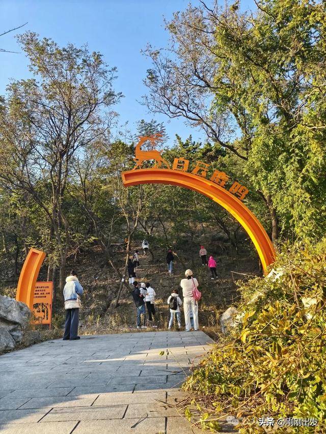 公交直达,大连这个免费公园枫叶正当时,赏秋好地方