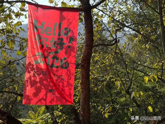 阳光明媚的冬日里,我们爬山去,逛陡坡村、看冬樱花,做晴朗的事