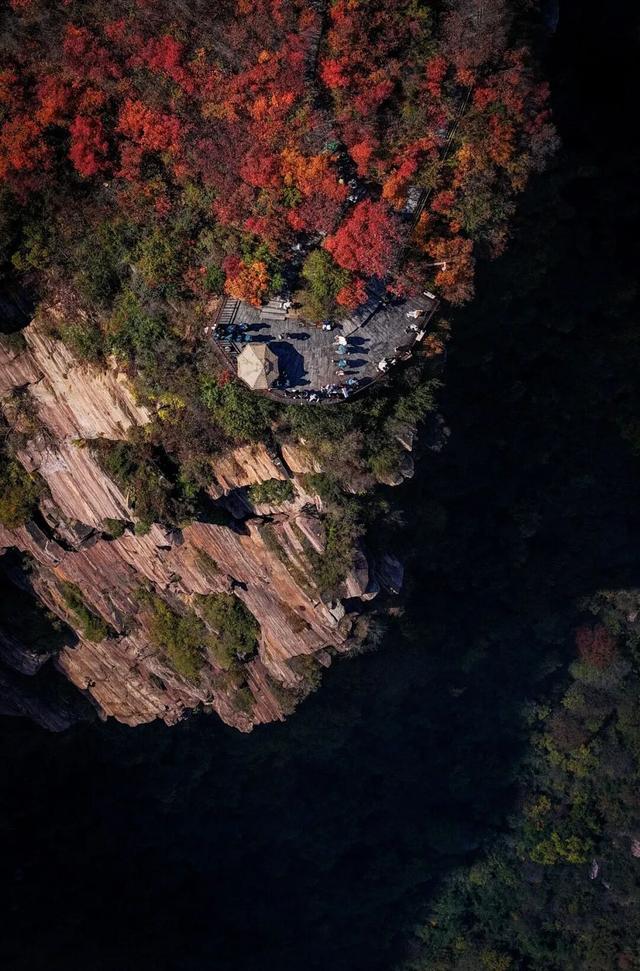 河南秋景大片，来了！（请横屏观看）