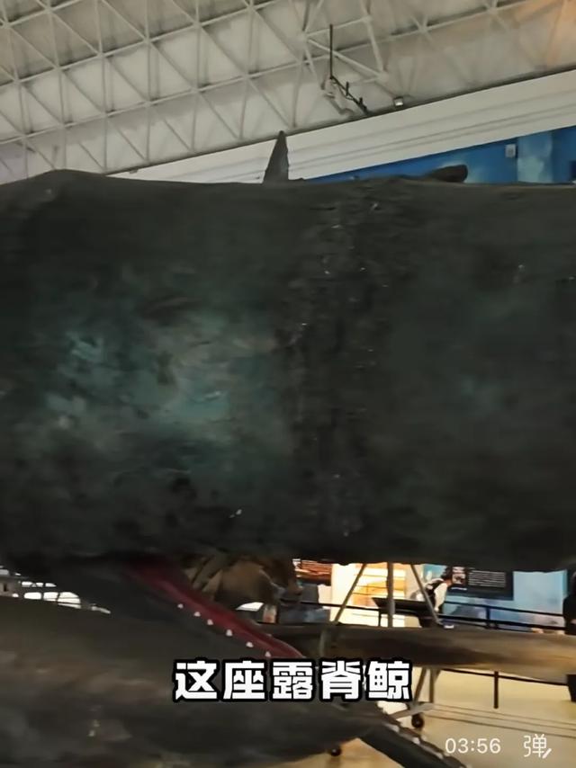 体感温度:北纬39°