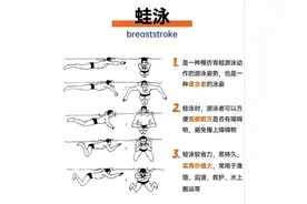 不同泳姿对身体的好处图片